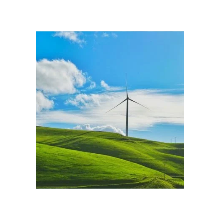 Sustainable energy sources: potential & limitations